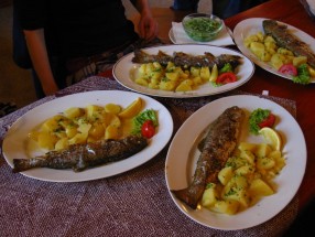 Soustředění