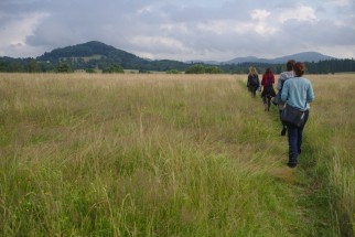 Soustředění